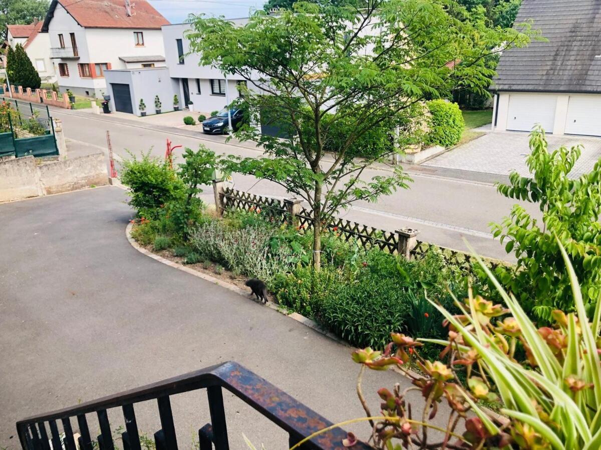 Gite Du Ried Bischwiller Exterior foto
