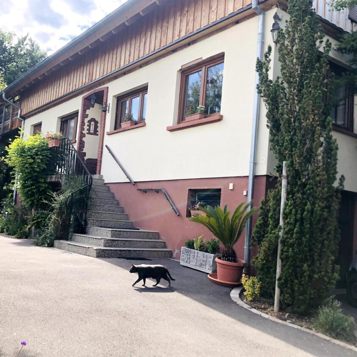 Gite Du Ried Bischwiller Exterior foto
