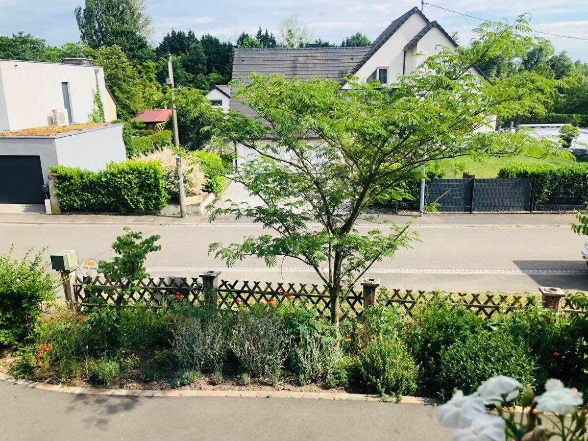 Gite Du Ried Bischwiller Exterior foto