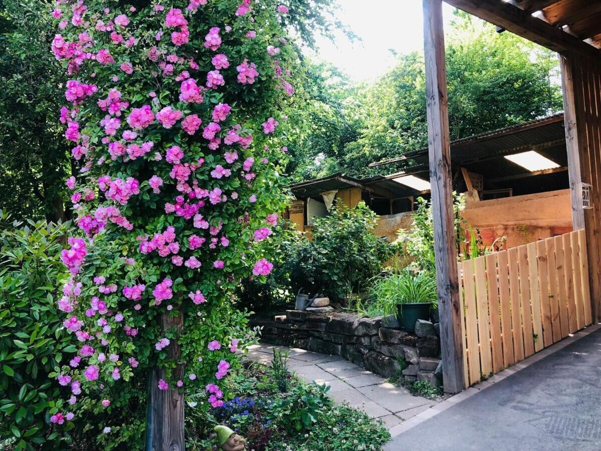 Gite Du Ried Bischwiller Exterior foto